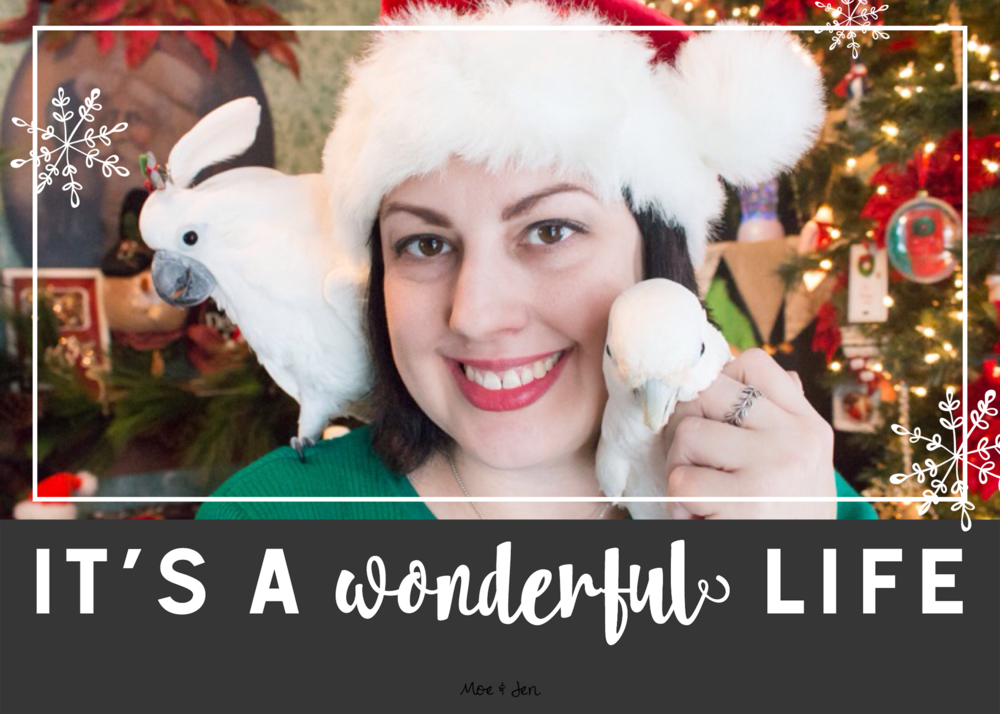 Holiday Wrap-up 2016