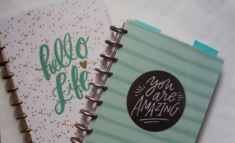 January Flip-Through of my Happy&nbsp;Planner