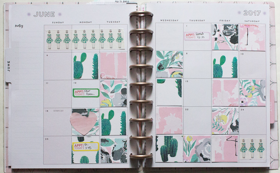 June Happy Planner&nbsp;Flip-Through