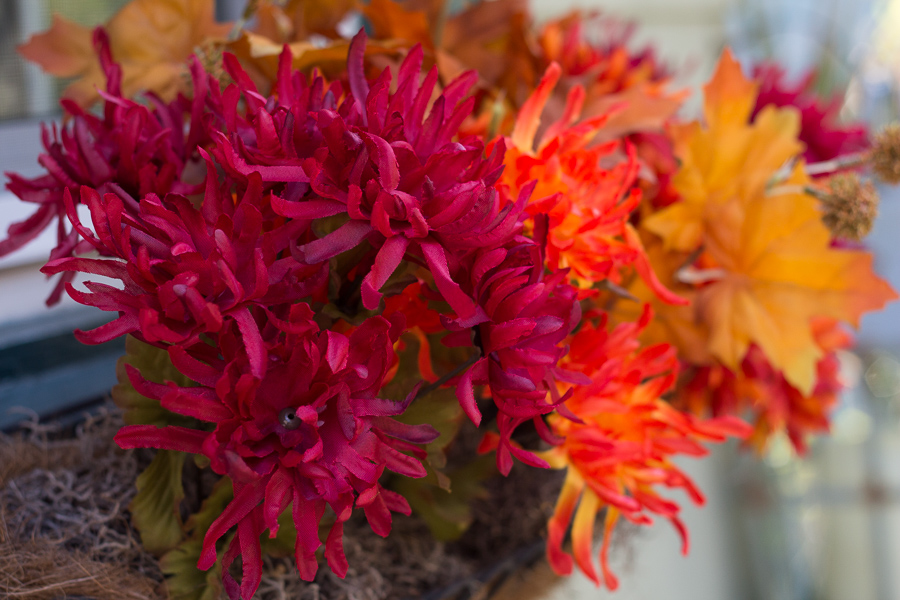 Photography by Jennifer Manis | JM Creates Blog