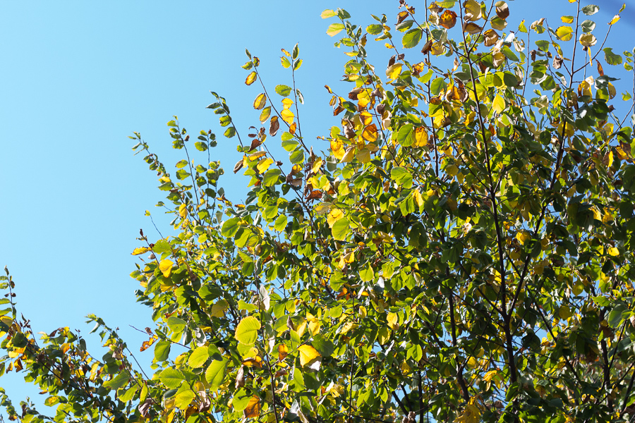 Photography by Jennifer Manis | JM Creates Blog