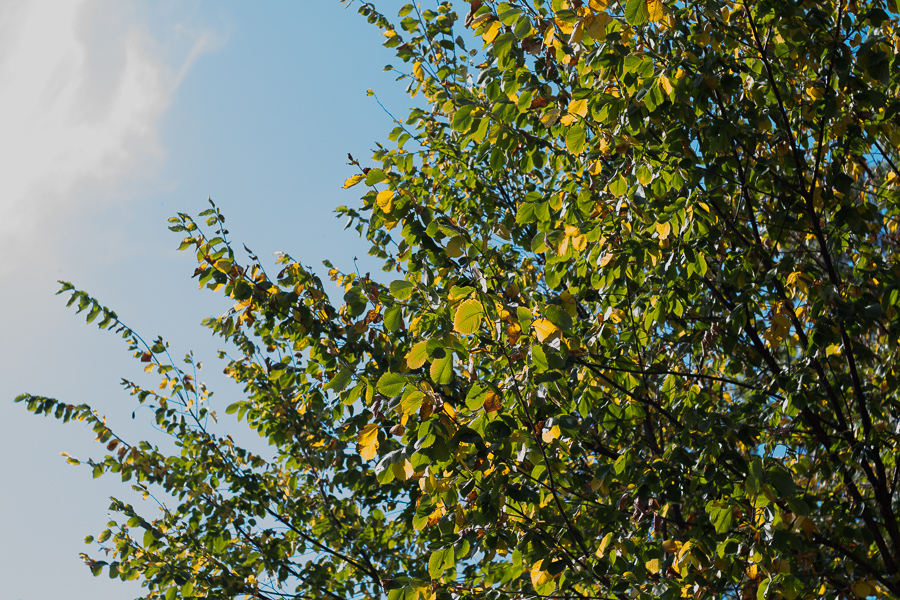 Photography by Jennifer Manis | JM Creates Blog