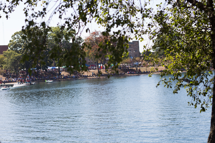 2017 Barberton Mum Festival | JM Creates