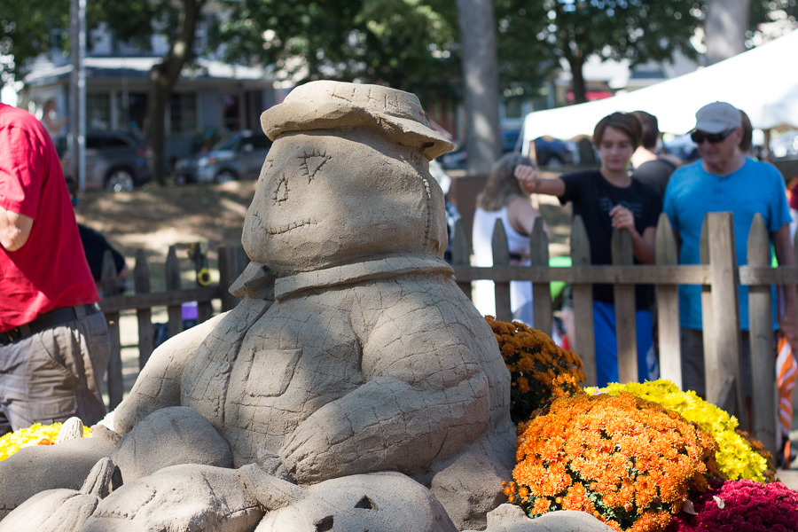 2017 Barberton Mum Festival | JM Creates