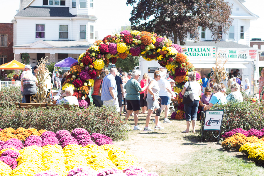 2017 Barberton Mum Festival | JM Creates