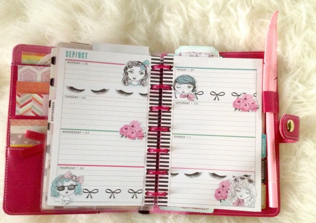 Mini Happy Planner Weekly Spread feat. The Pink Passport | JM Creates