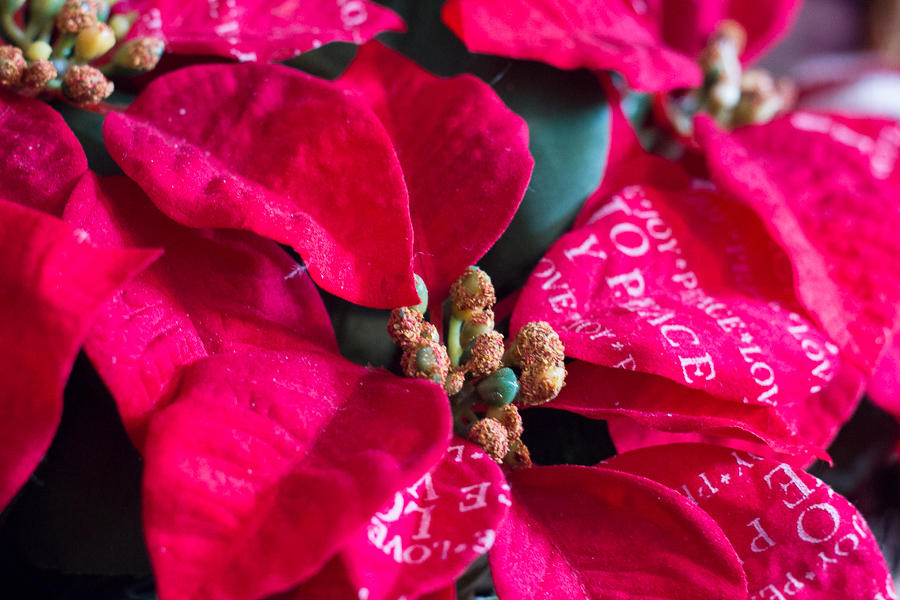 Christmas 2017 Decorating | JM Creates Blog