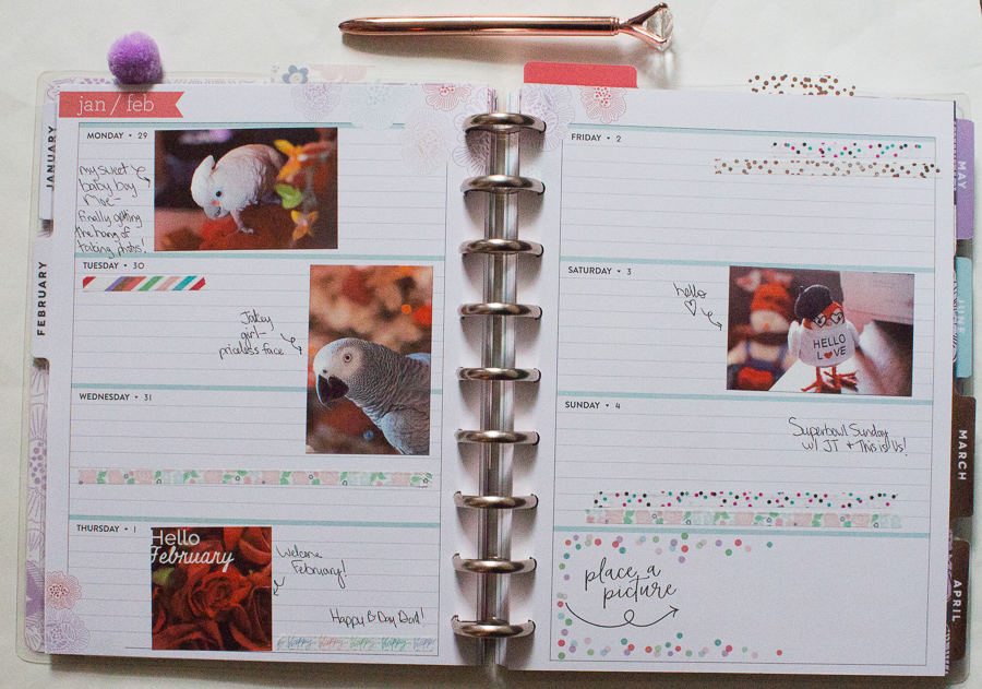 Daydreamer Memory Planner