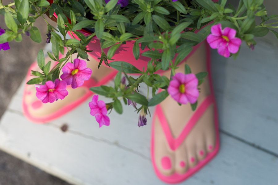 Early Summer in Photos | Created by Jen Blog