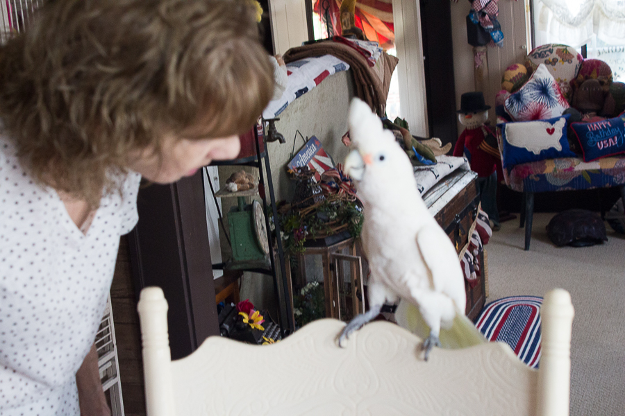 July in Photos | Created By Jen Blog