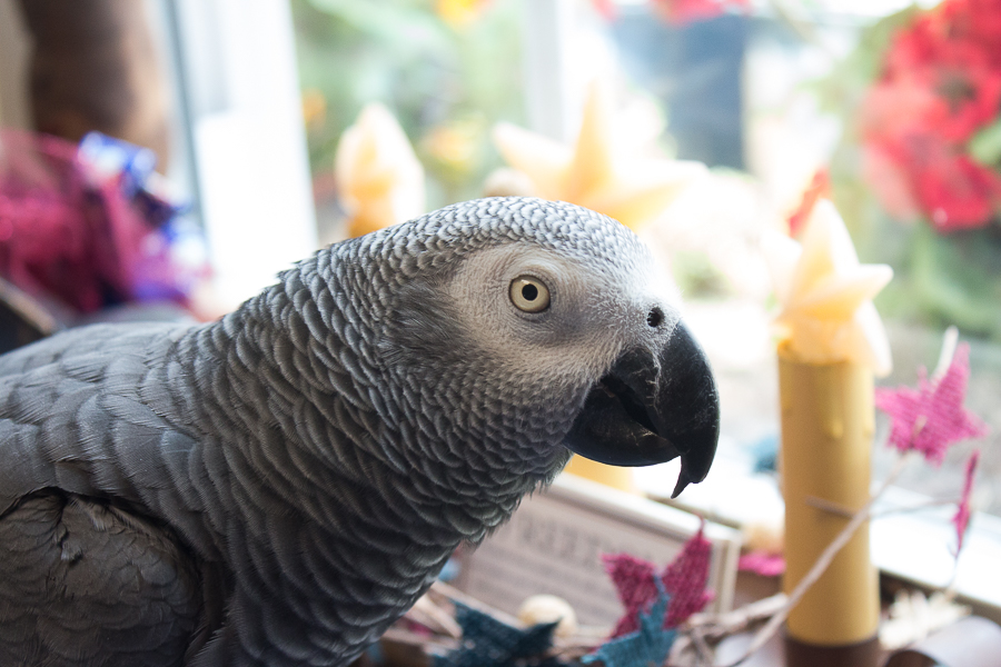 July in Photos | Created By Jen Blog