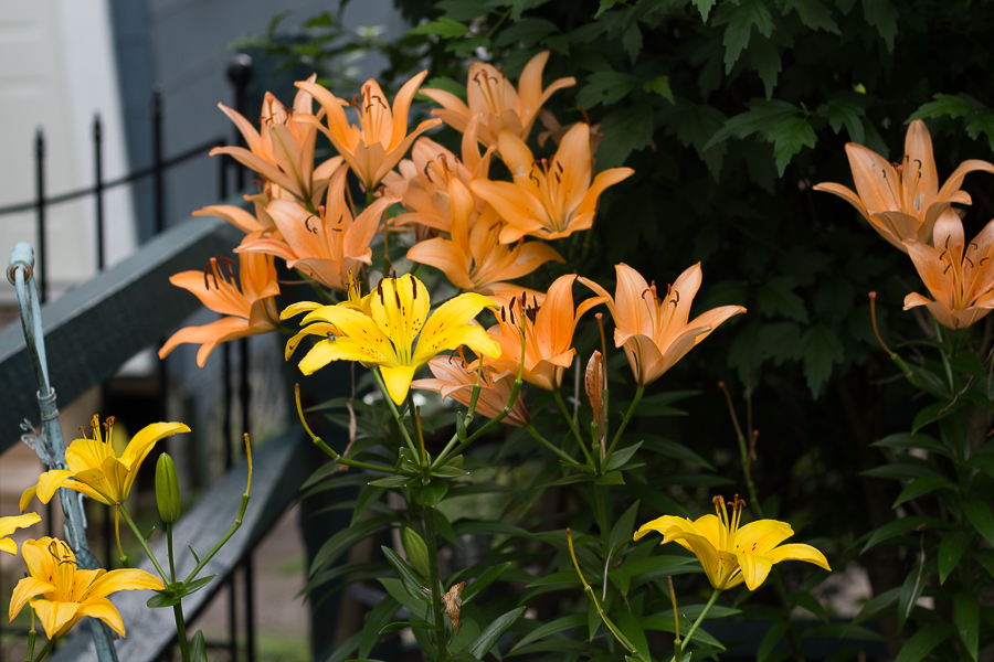 July in Photos | Created By Jen Blog