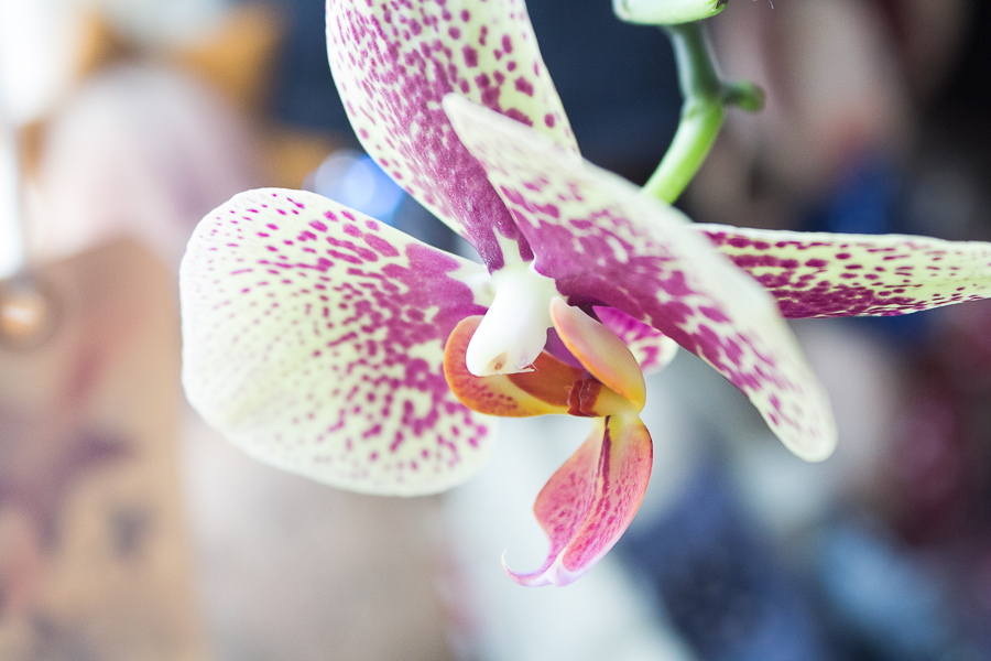 July in Photos | Created By Jen Blog