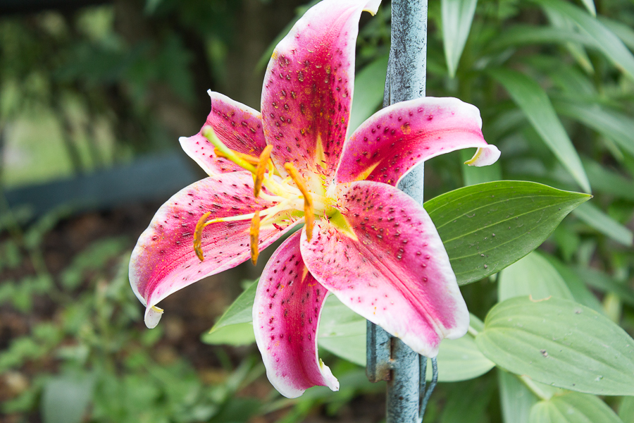 July in Photos | Created By Jen Blog