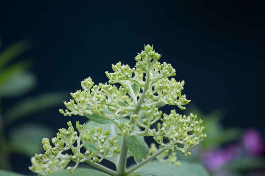 July in Photos | Created By Jen Blog