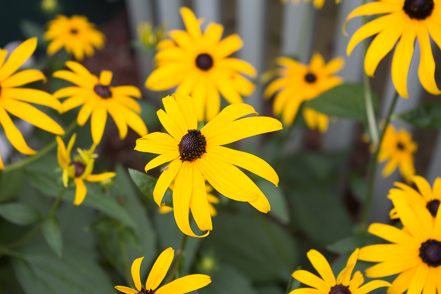 July in Photos | Created By Jen Blog