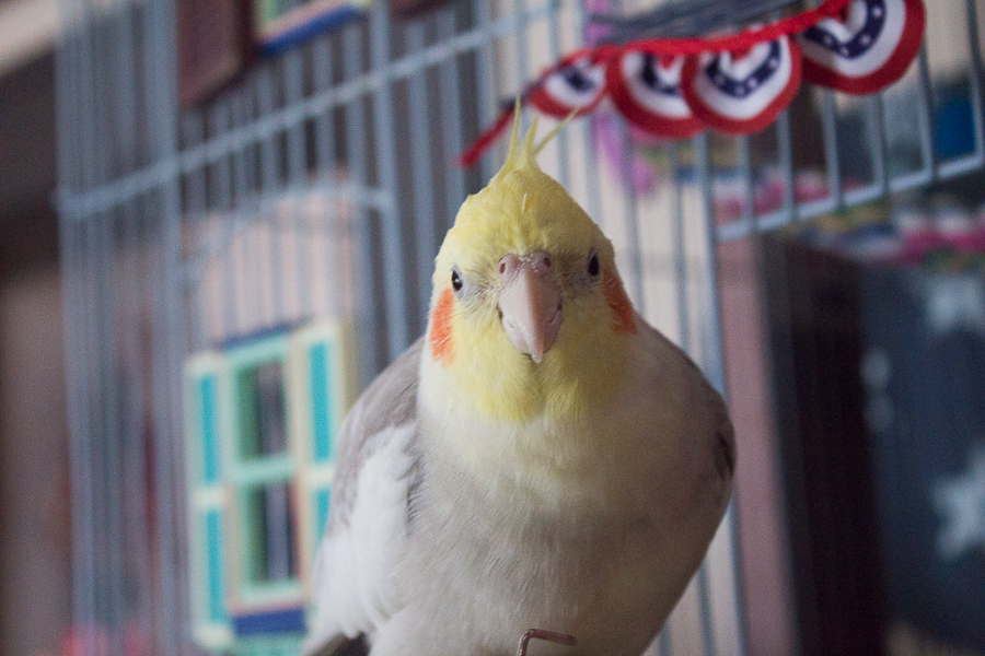 July in Photos | Created By Jen Blog