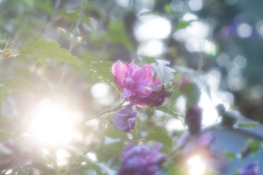 August in Photos | Created by Jen Blog