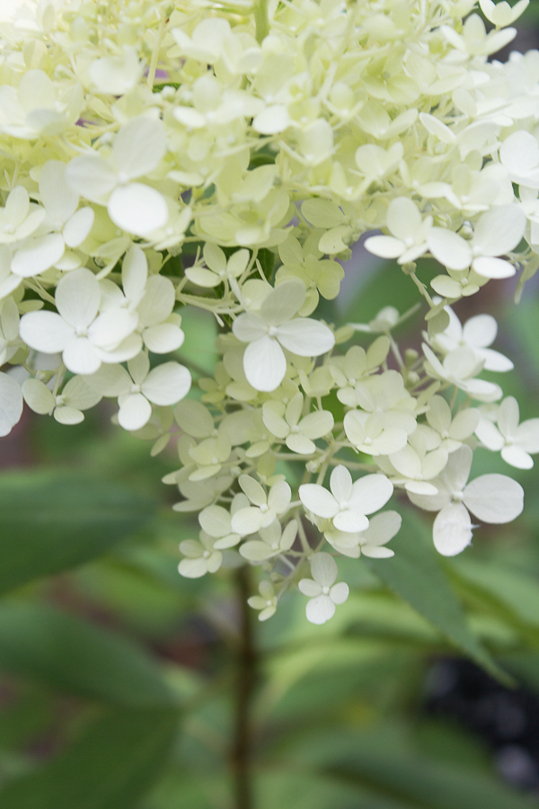 August in Photos | Created by Jen Blog