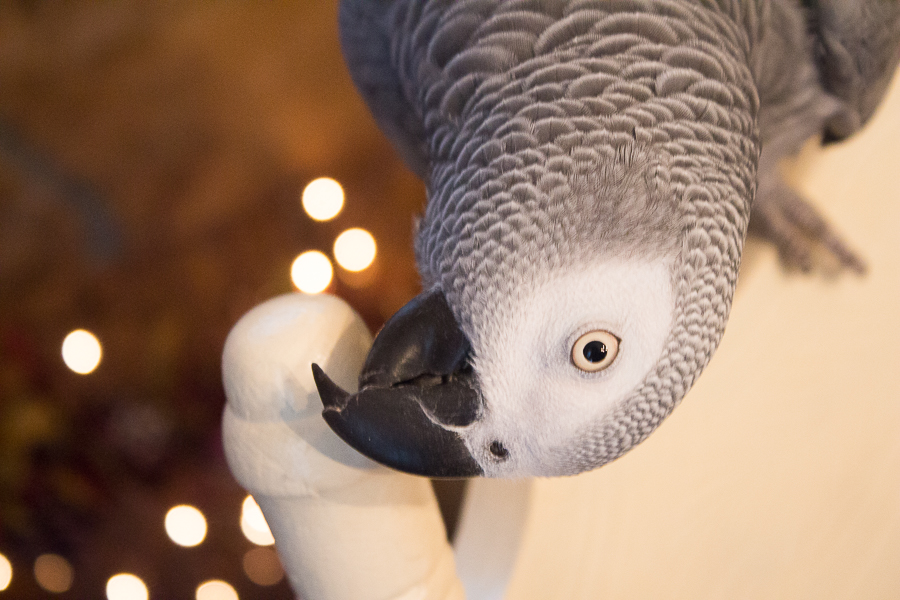 September in Photos | Created by Jen Blog