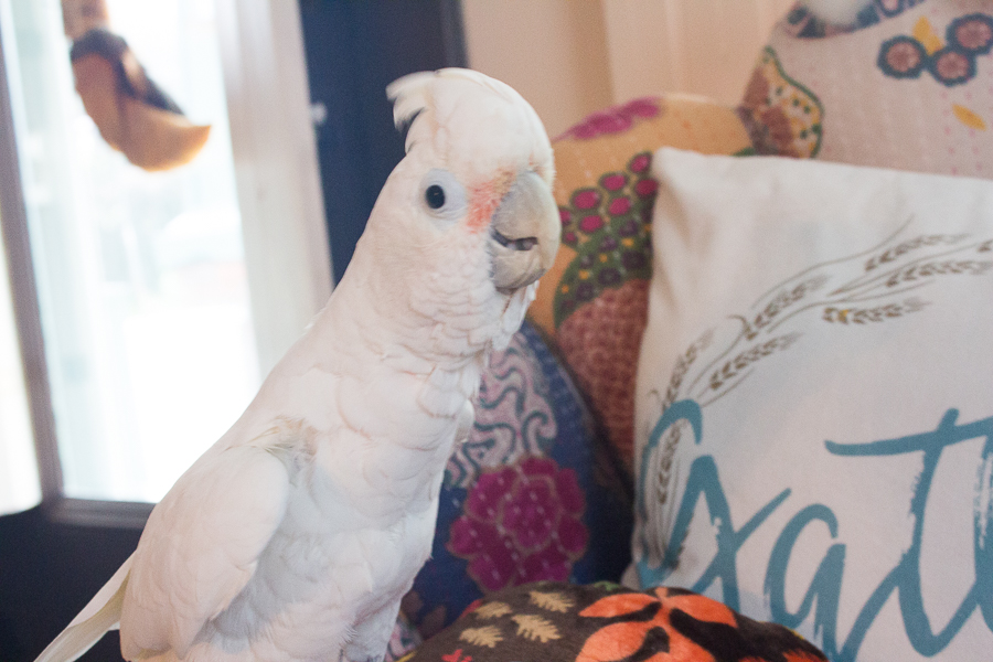 September in Photos | Created by Jen Blog