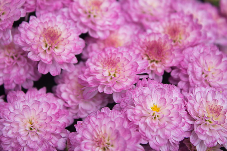 September in Photos | Created by Jen Blog