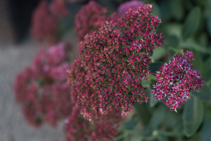 September in Photos | Created by Jen Blog