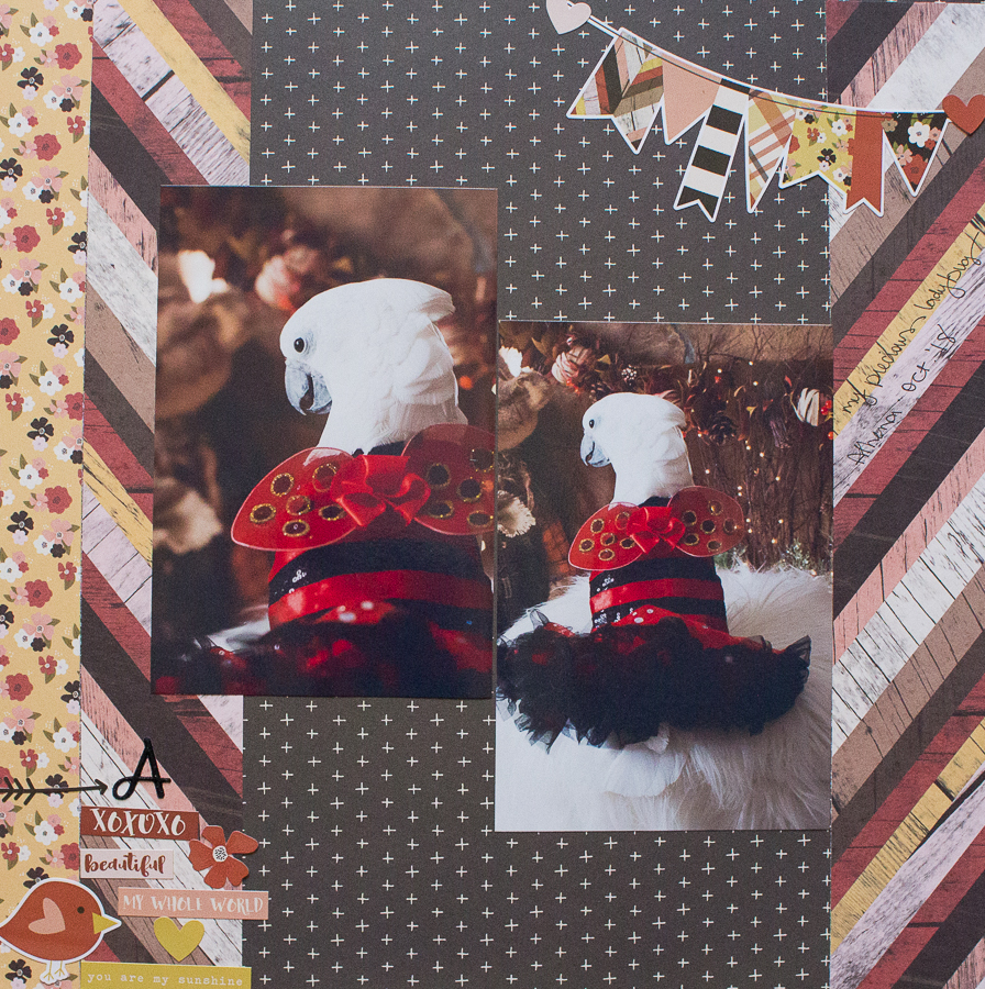 Fall Inspired Scrapbook&nbsp;Layouts