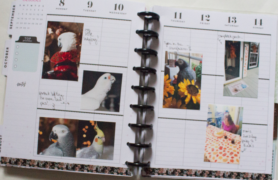 Happy Planner Memory Planning | Created by Jen Blog
