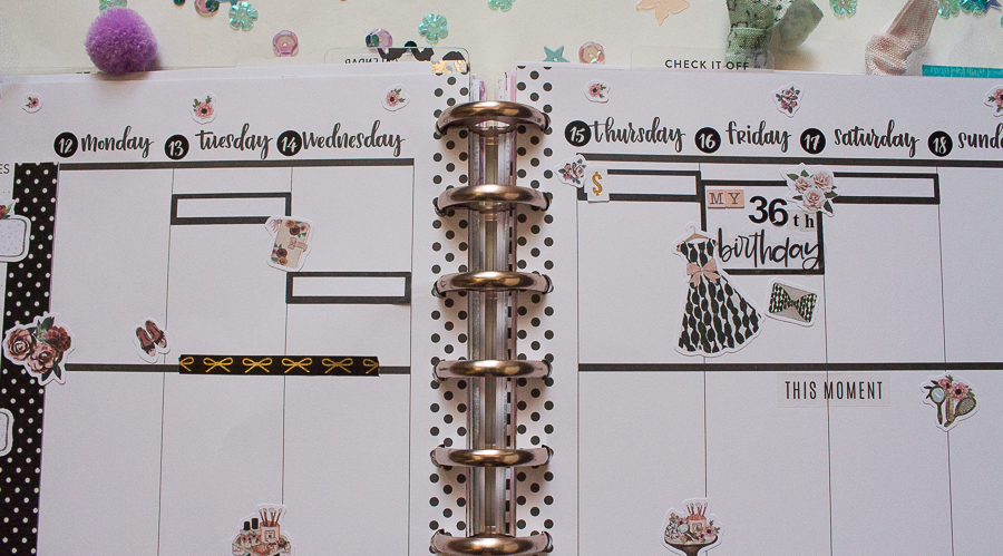 Happy Planner Weekly Spread | My Birthday Week! | November&nbsp;12-18