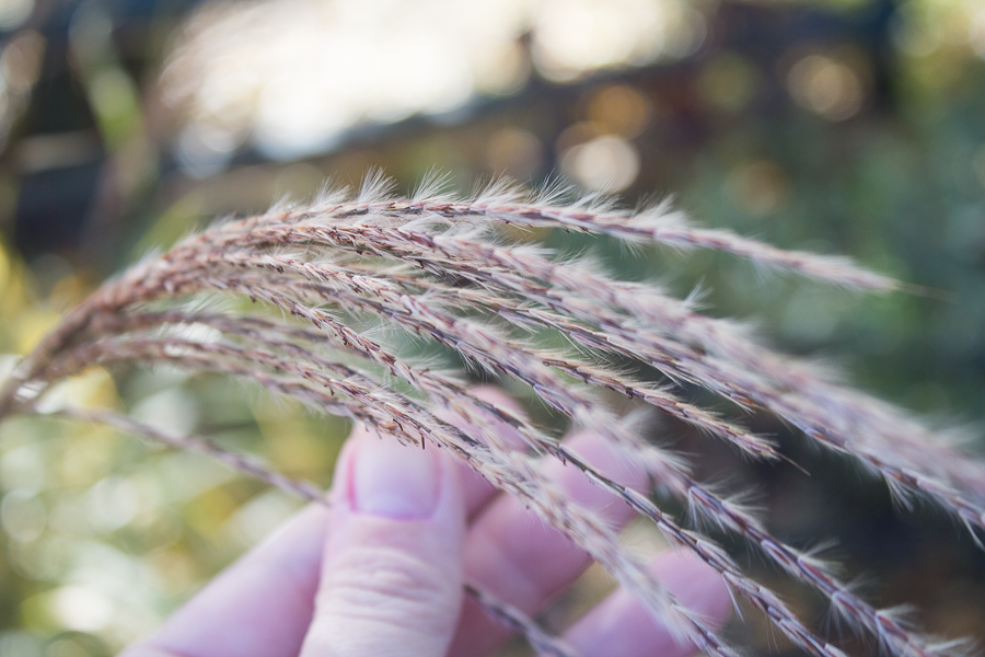 Fall 2018 | Created by Jen Blog