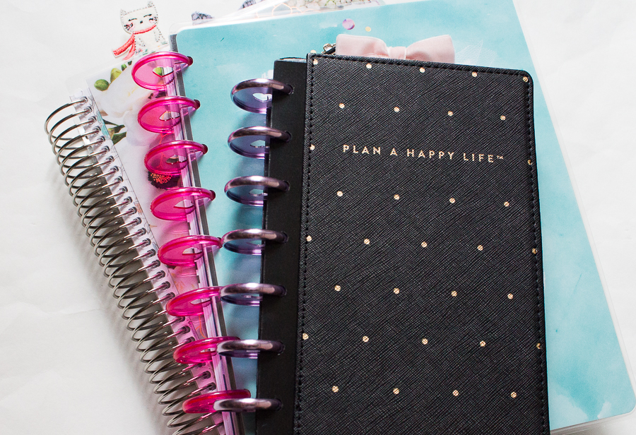 My 2019 Planner Lineup!