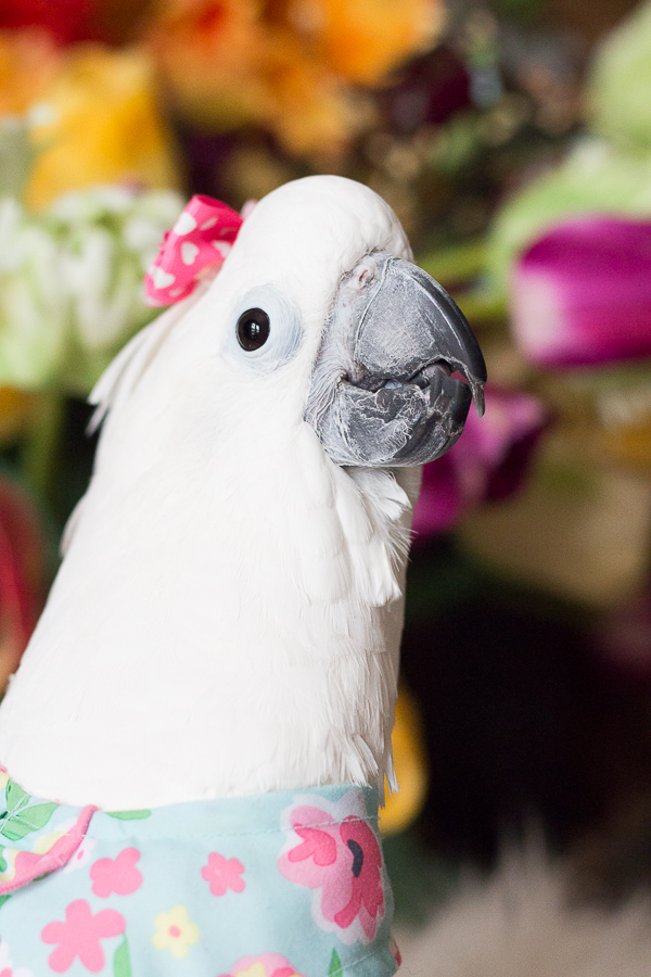 Easter Inspiration | Created by Jen Blog