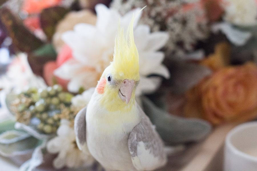 End of Summer Photos