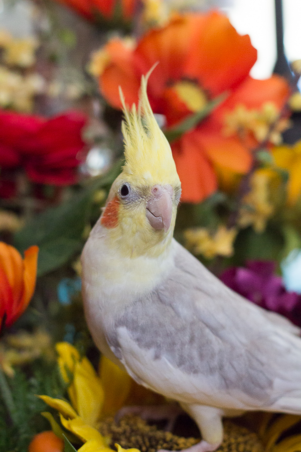 End of Summer Photos