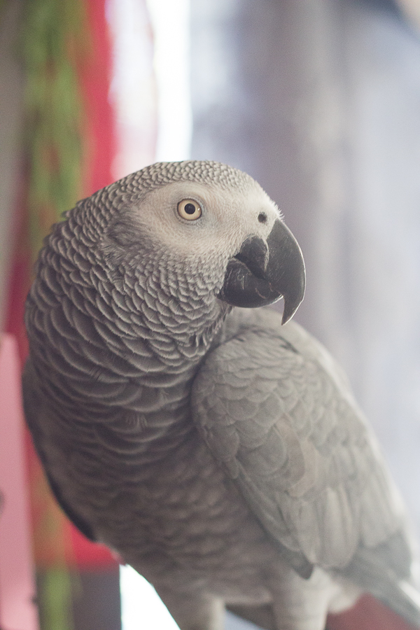 End of Summer Photos