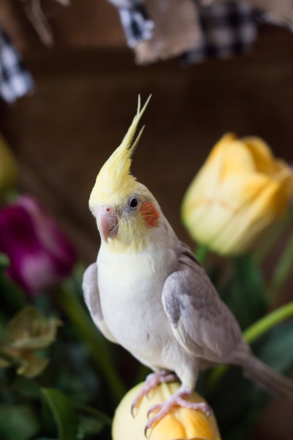 Happy Easter 2020 | Created by Jen Blog