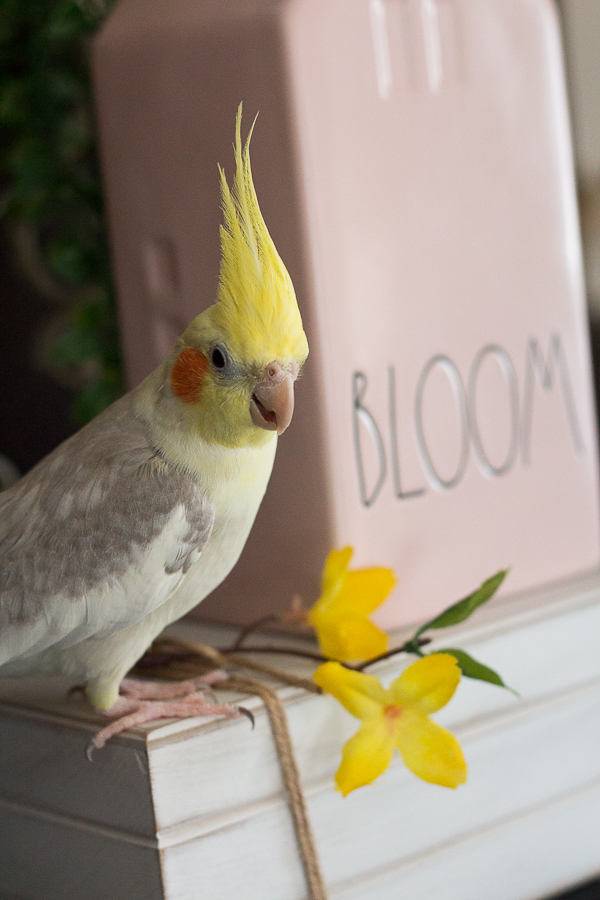 Happy Easter 2020 | Created by Jen Blog