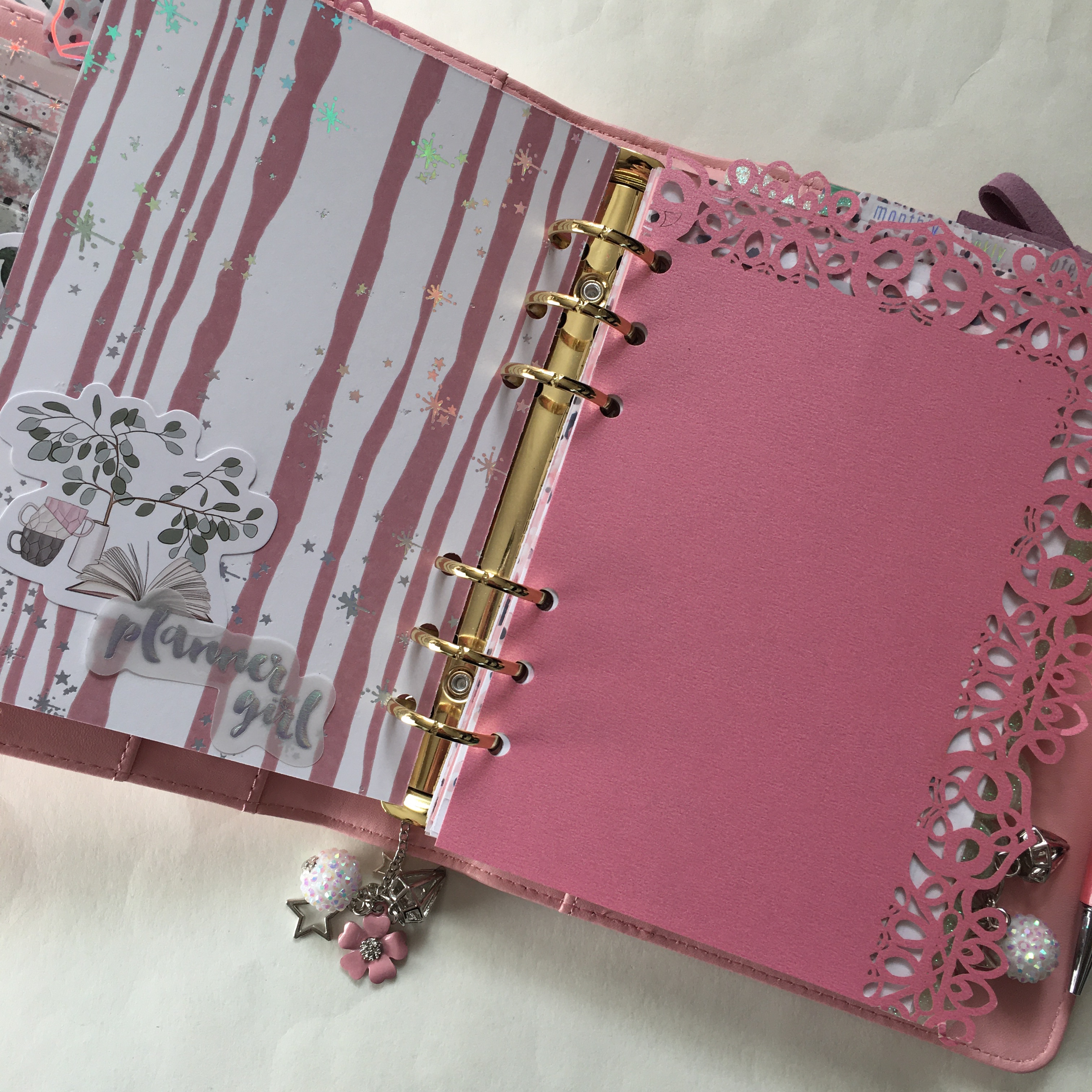 The Pink Room Co. B6 Rings Planner Setup | Created by Jen Blog