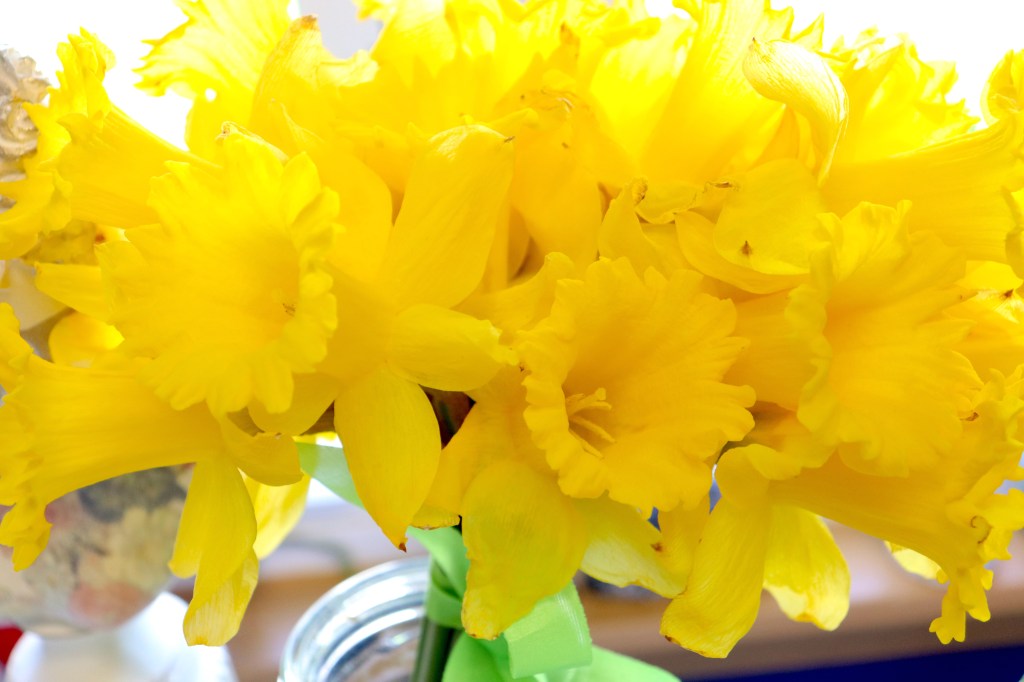 Easter Photo Gallery