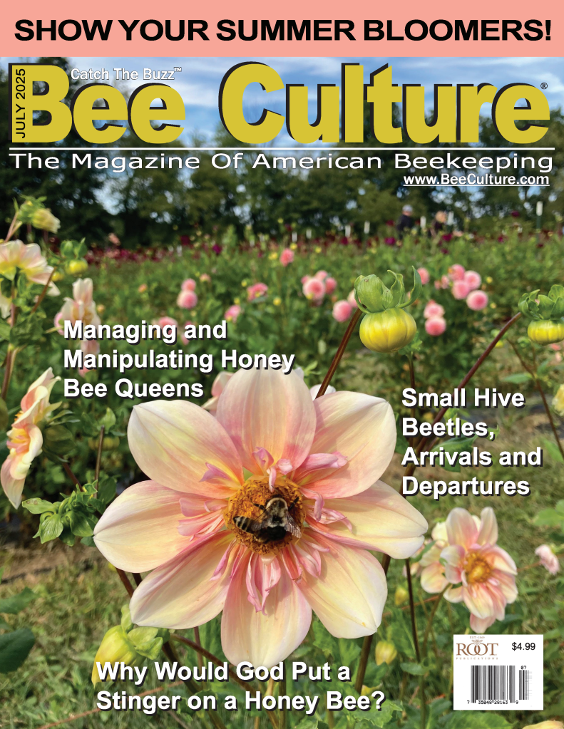 Bee Culture Magazine Cover July 2025